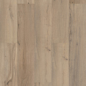 Shaw Endura Plus - Driftwood $3.79 sq/ft